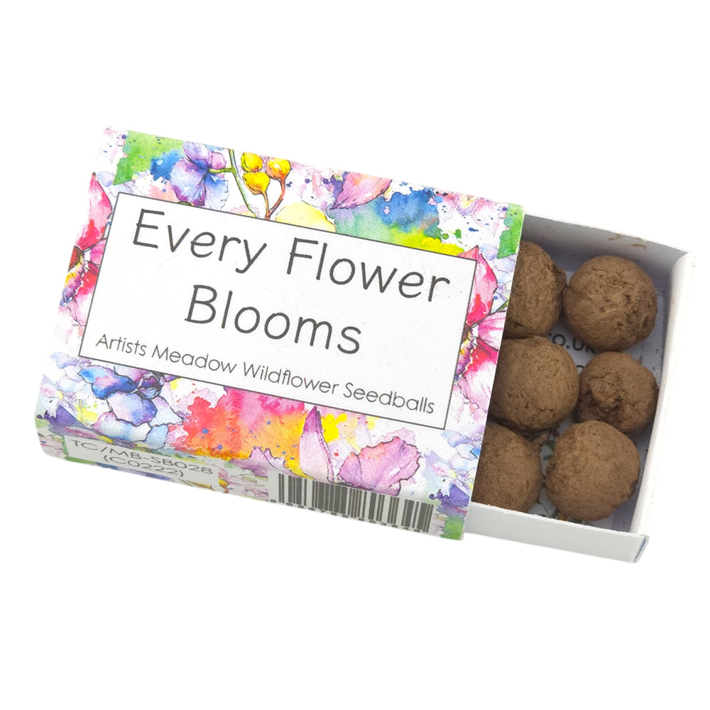 Every Flower Blooms | Artist Mix Seedball Box | Cracker Filler | Little Gift
