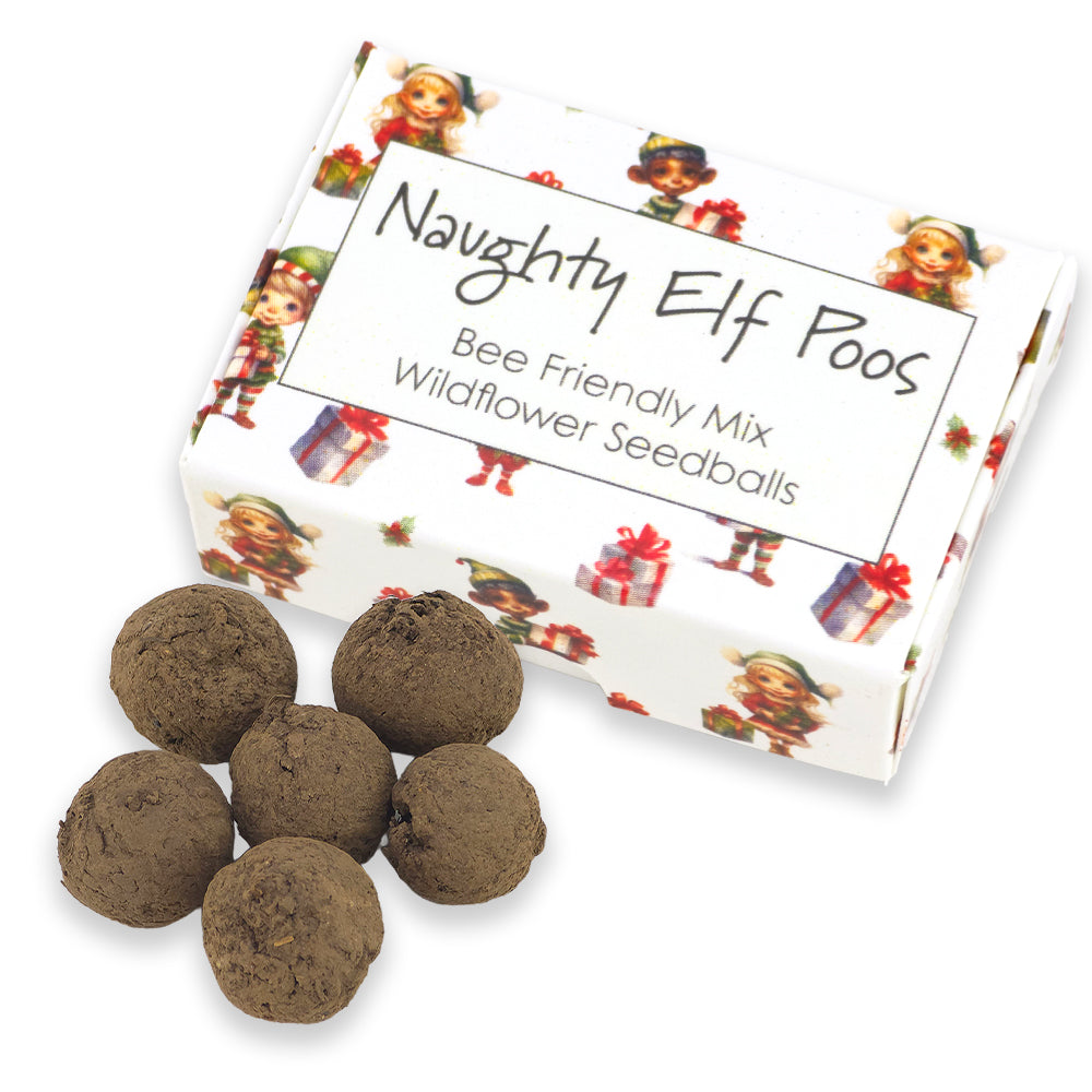 Naughty Elf Poos | 6 Seedball Matchbox | Bee Mix | Cracker Filler | Little Gift