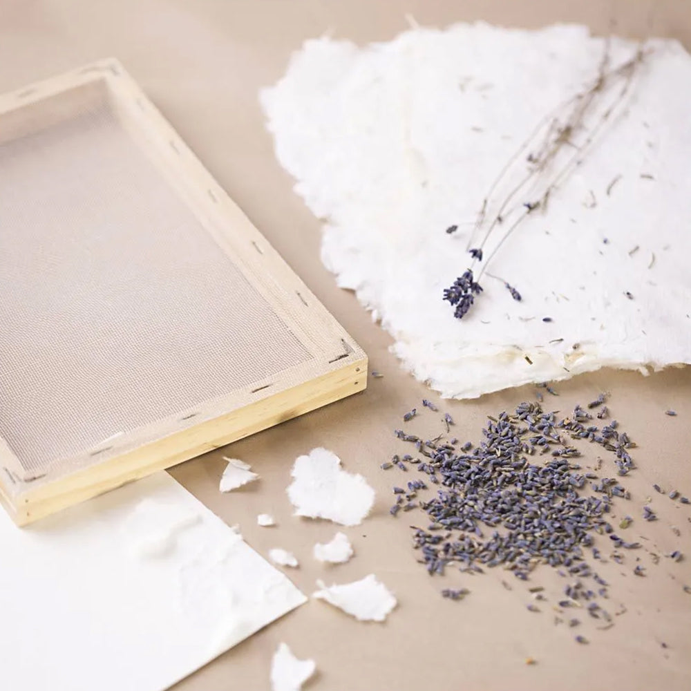 Papermaking Starter Kit - Craft for Adults – The Cracker Company