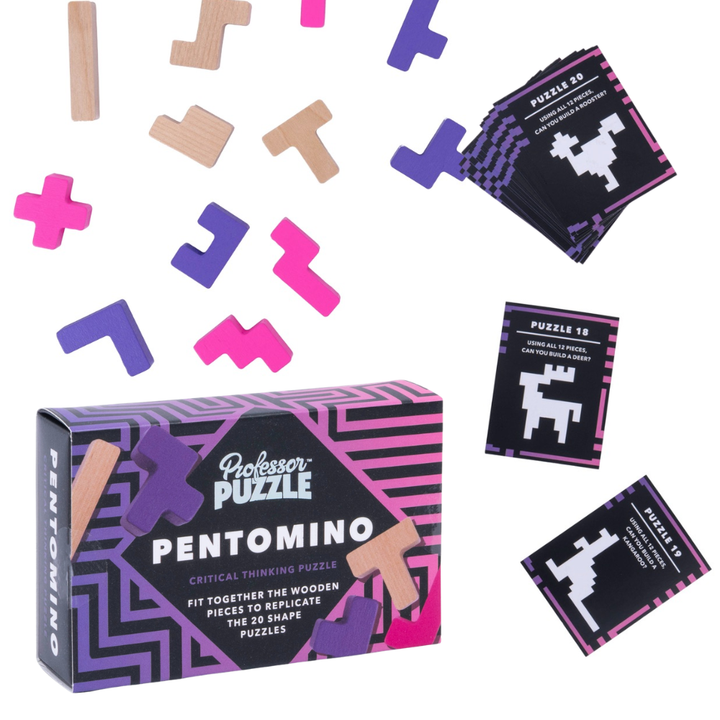 Classic Wooden Mind-bending Puzzles | Table Game &amp; Stocking Filler Gift