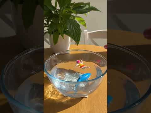 Female | Wind Up Swimming Figure | Wild Water | Little Gift | Cracker Filler