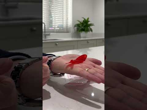 Fortune Teller Fish for Crackers | 6 Individual Packs | Cracker Filler Gifts