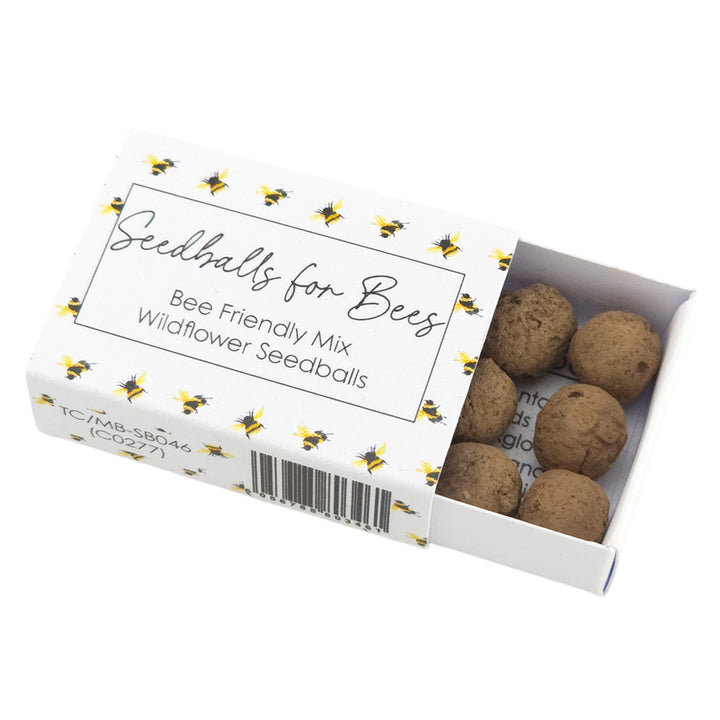 Watercolour Bee | Seedball Matchbox | Bee Mix | Cracker Filler | Little Gift