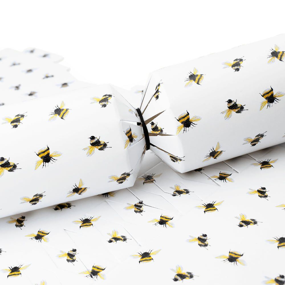 Watercolour Bee | Cracker Making Craft Kit | Make &amp; Fill Your Own