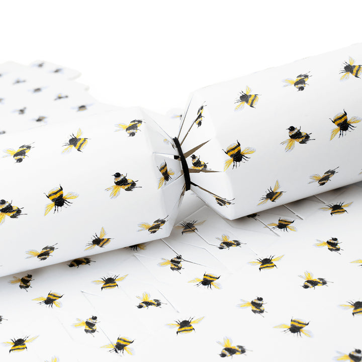 Watercolour Bee | Cracker Making Craft Kit | Make &amp; Fill Your Own
