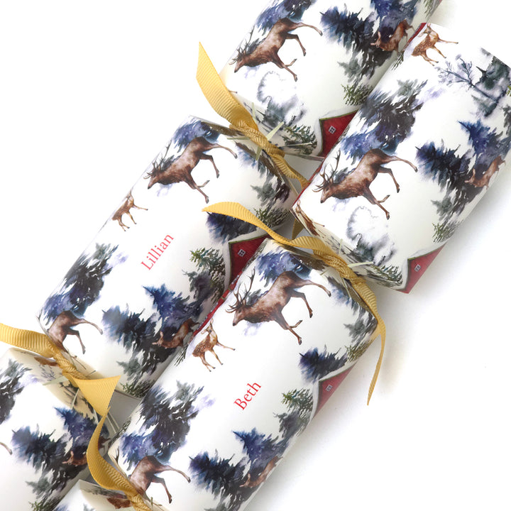 Personalised Cracker Making Craft Kit | Christmas in the Alps | Minimum 4