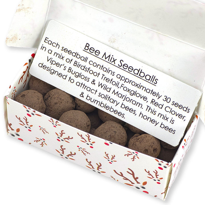 Rudolph Noses | Box of 20 Bee Mix Seedballs | Cracker Filler | Little Gift