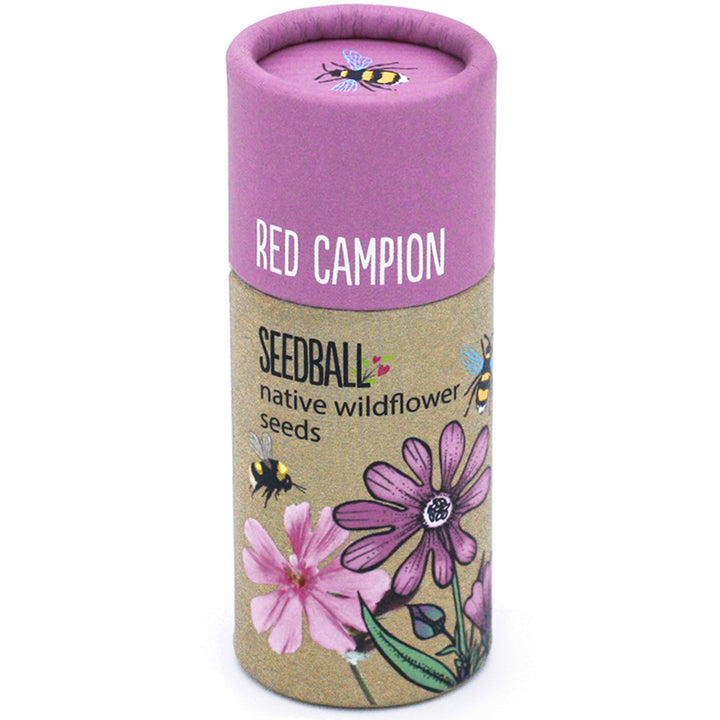 Red Campion | Luxury Tube of Seedballs | Cracker Filler | Little Gift