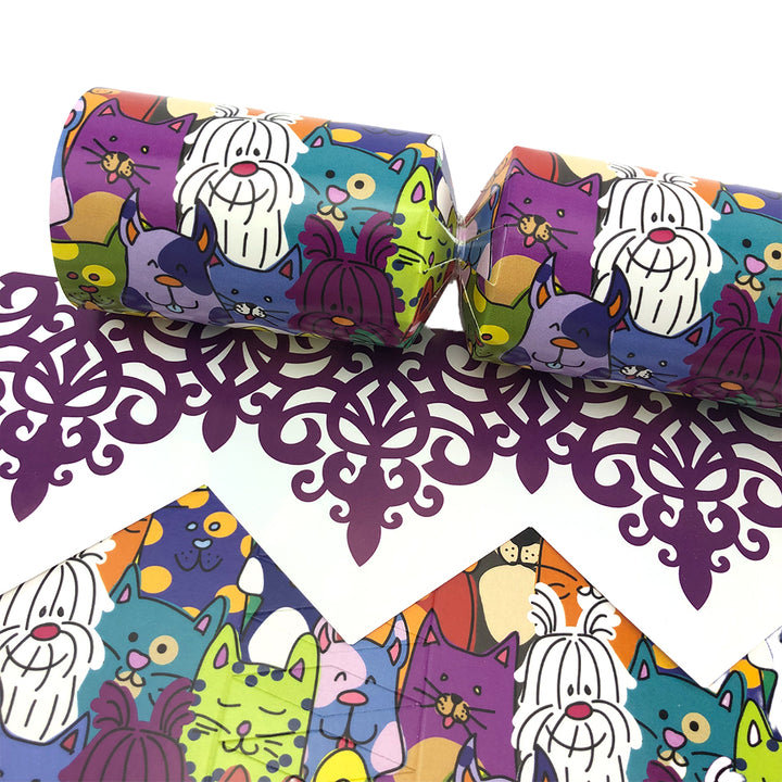 Colourful Pets | Dogs &amp; Cats | Cracker Making Craft Kit | Make &amp; Fill Your Own