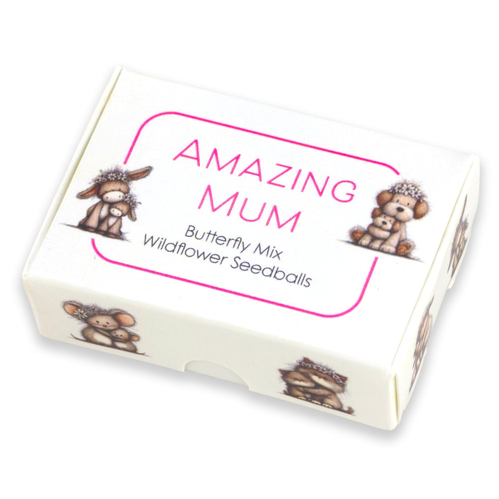 Amazing Mum | Box of 6 Seedballs | Butterfly Mix | Cracker Filler | Little Gift