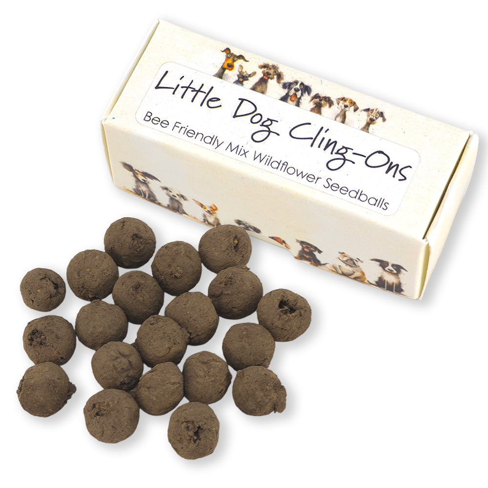 Little Dog Cling-Ons | Box of 20 Bee Mix Seedballs | Cracker Filler | Little Gift