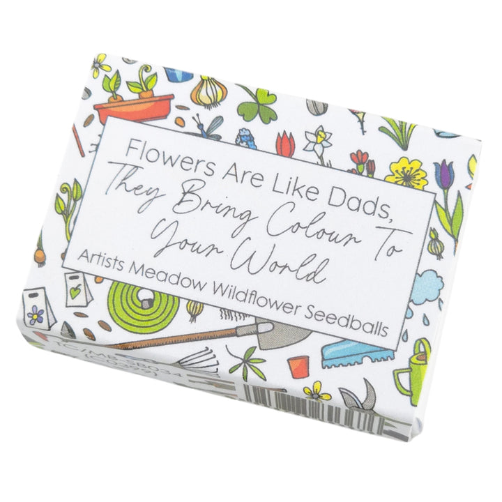 Flowers Are Like Dads | Artist Mix Seedball Box | Cracker Filler | Little Gift