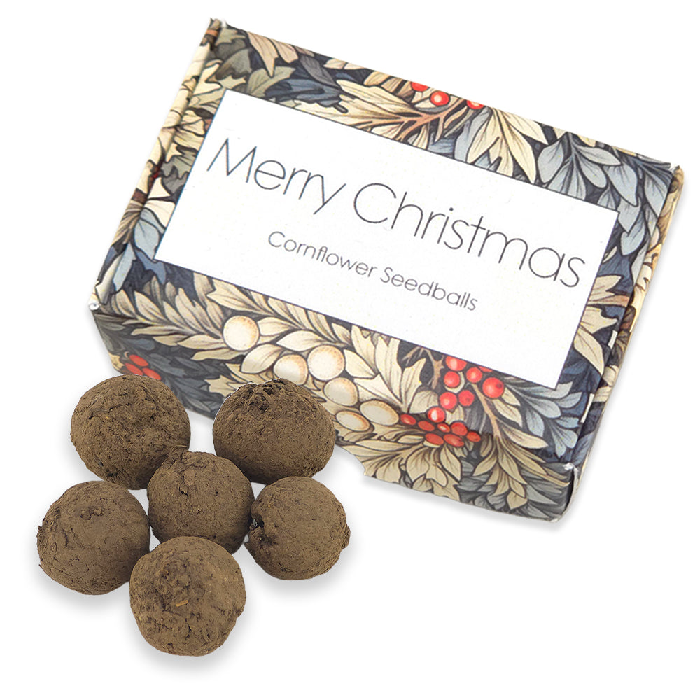 Snowberries | 6 Cornflower Seedballs | William Morris | Cracker Filler