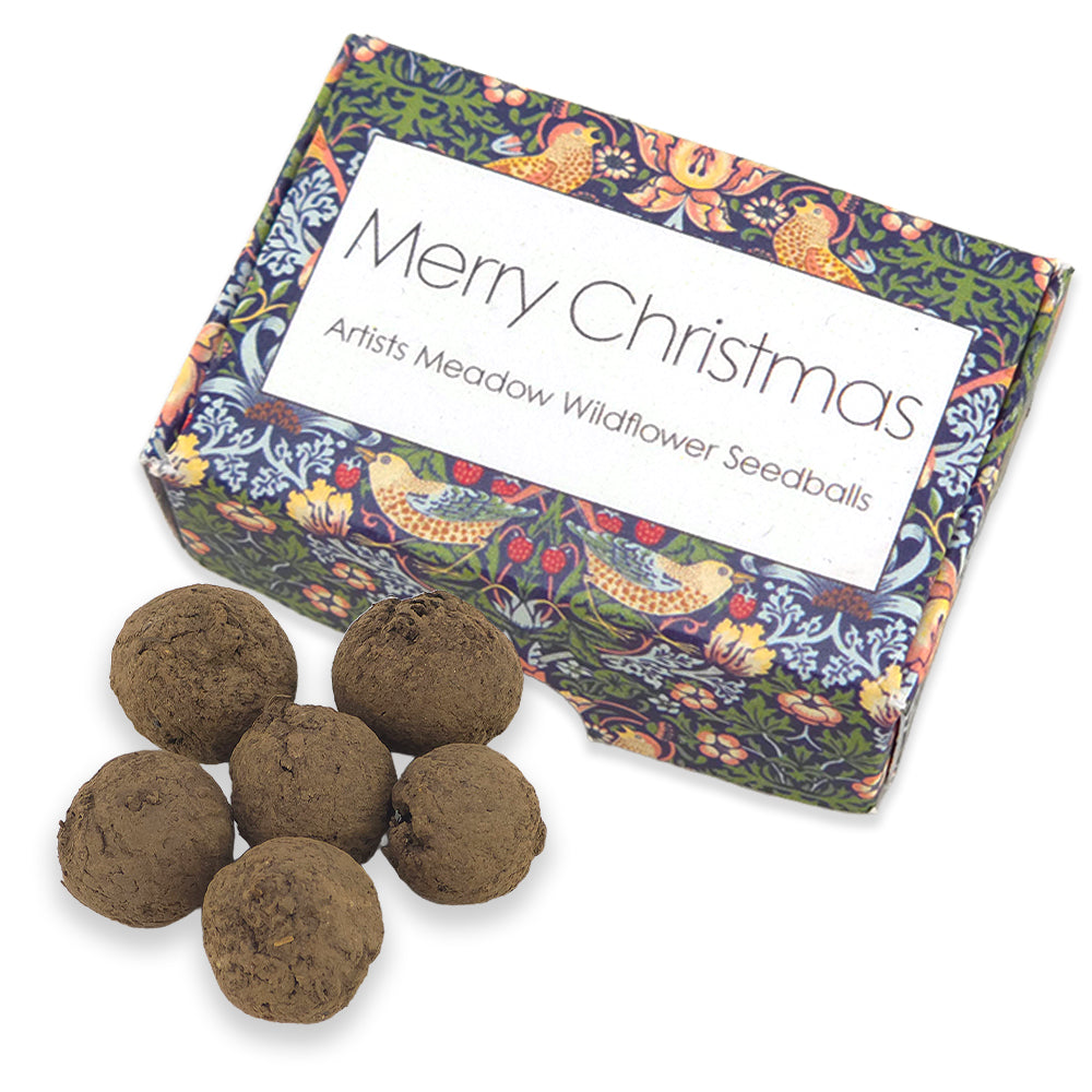 Green Strawberry Thief | 6 Seedballs | Artist Meadow Mix | Cracker Filler Gift