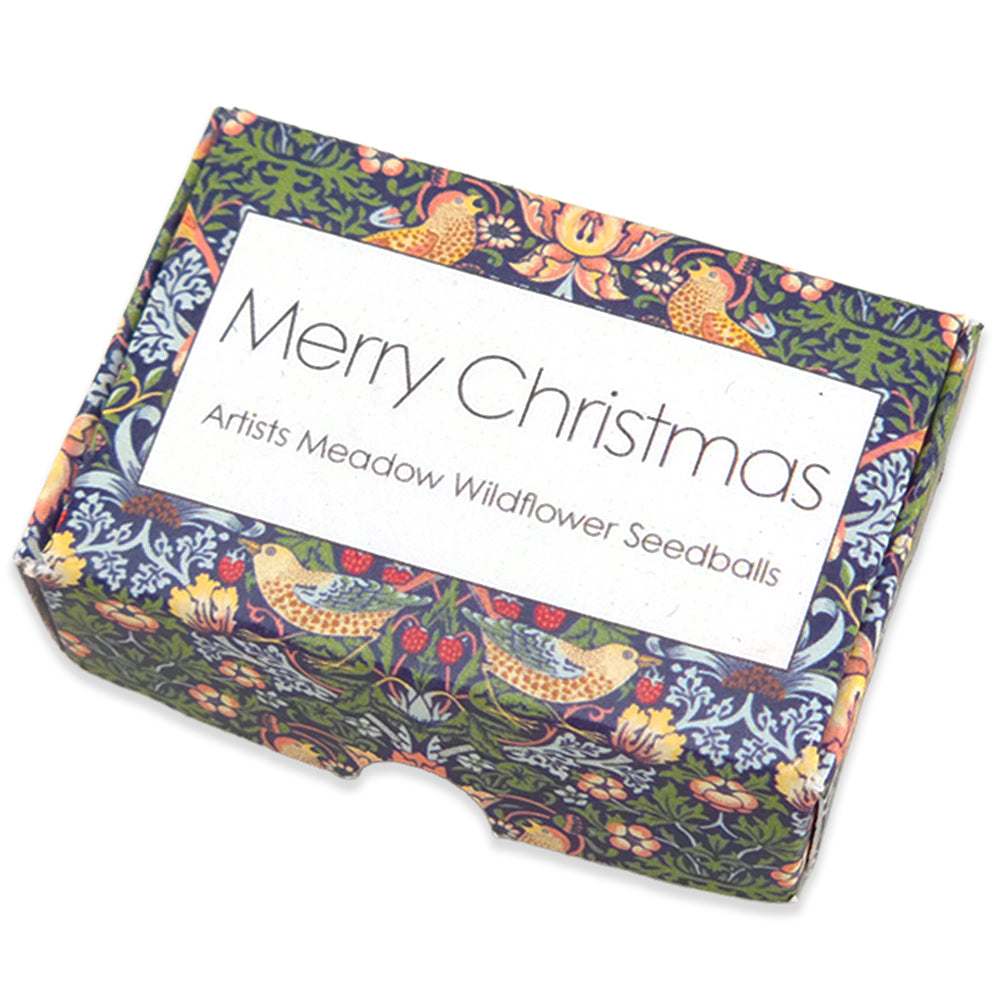Green Strawberry Thief | 6 Seedballs | Artist Meadow Mix | Cracker Filler Gift