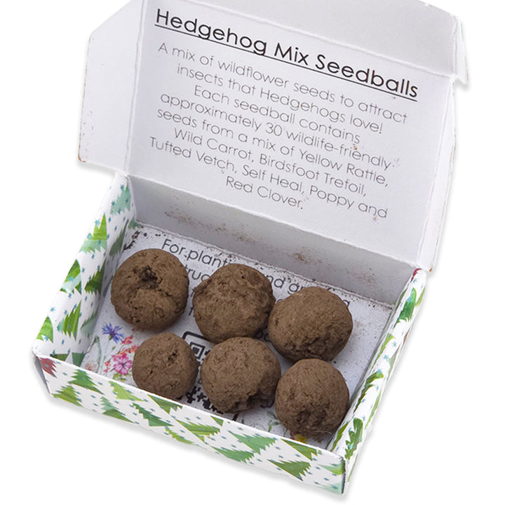 Christmas Tree Wave | 6 Seedballs | Hedgehog Mix | Cracker Filler Gift