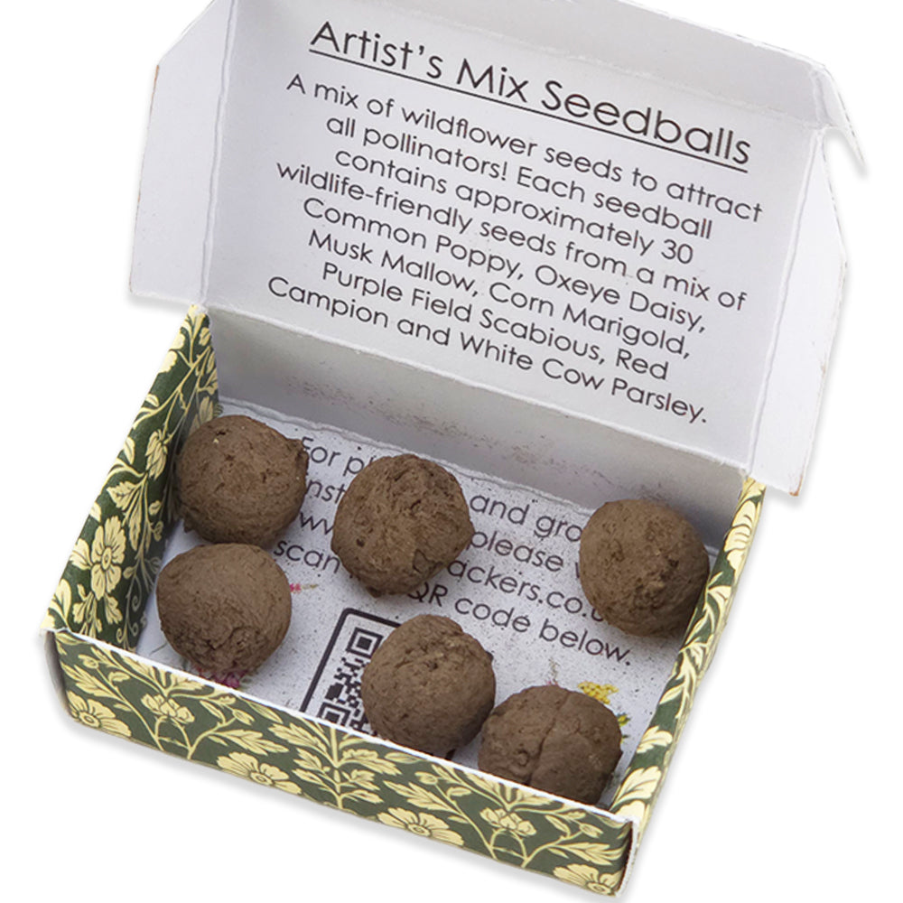 William Morris Sage Florals  | 6 Seedballs | Artists Mix | Cracker Filler Gift