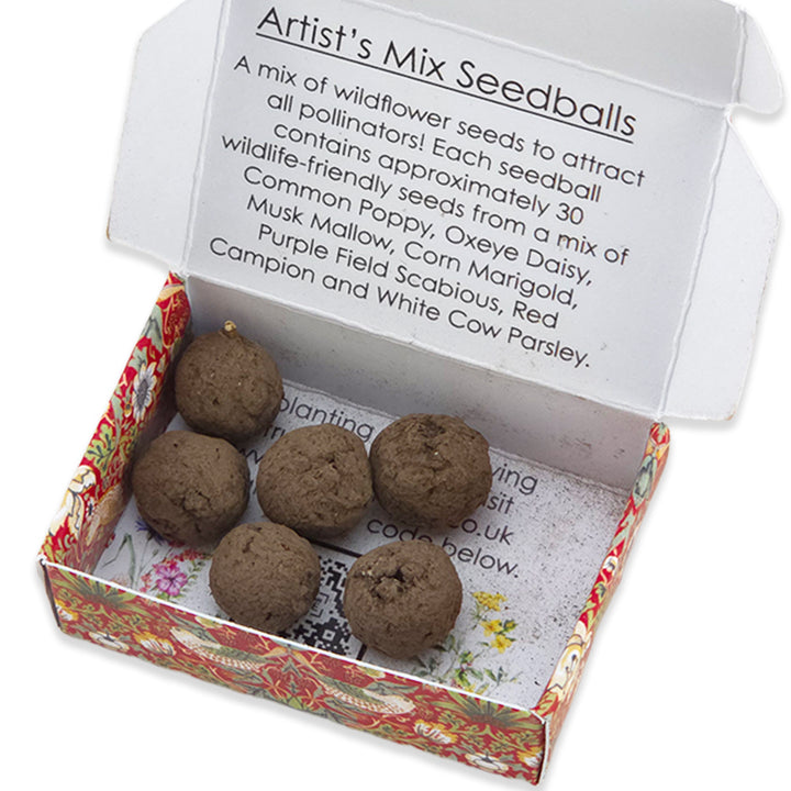 Red Strawberry Thief | 6 Seedballs | Artist Meadow Mix | Cracker Filler Gift