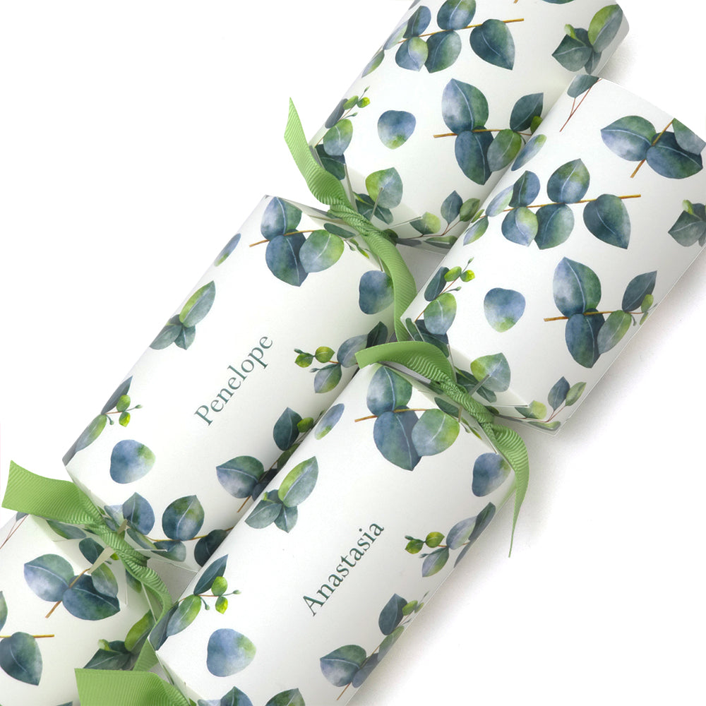 Personalised Cracker Making Kit | Watercolour Eucalyptus | Makes 4 or 6 Crackers