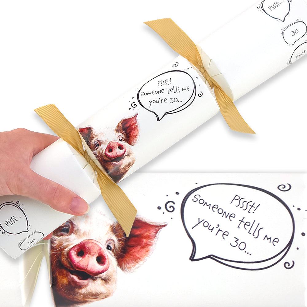 Cheeky Pig Milestone Birthday | Cracker Making Craft Kit | Make Your Own