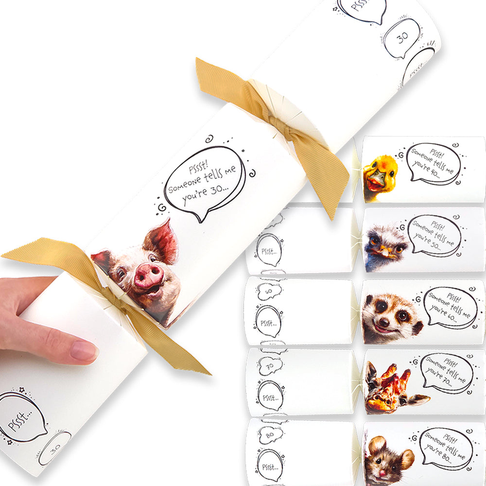 Cheeky Animal Milestone Birthday | Cracker Making Craft Kit | Make Your Own