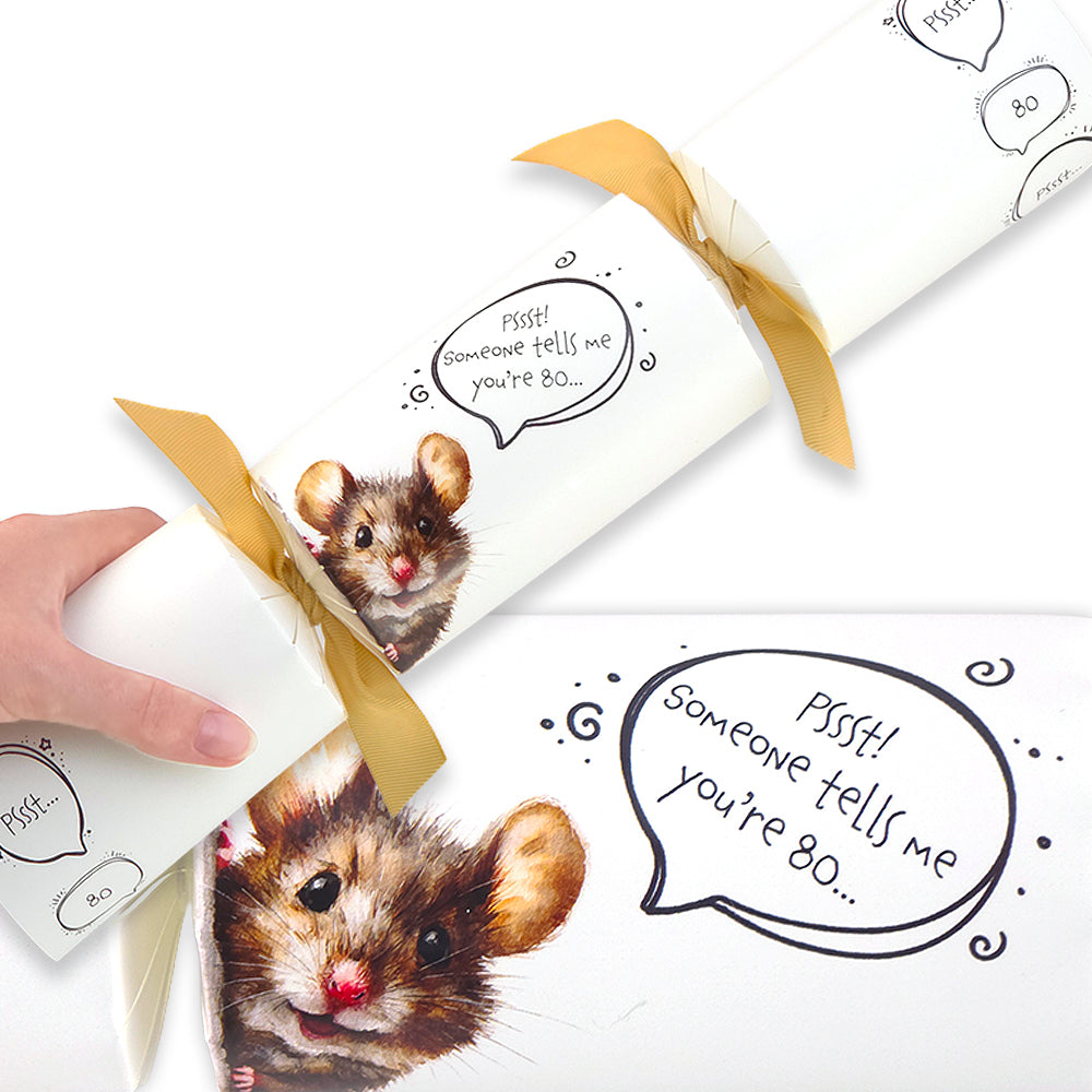 Cheeky Mouse Milestone Birthday | Cracker Making Craft Kit | Make Your Own