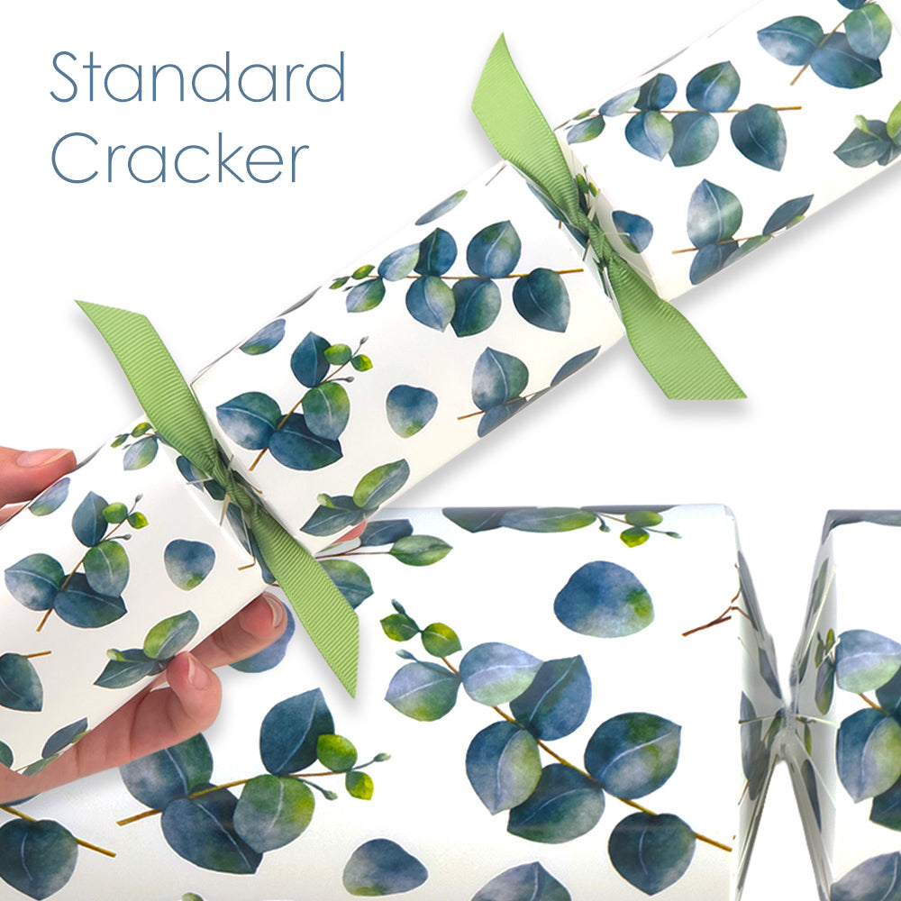 Reusable Keepsake Christmas Cracker Set | Watercolour Eucalyptus | DIY