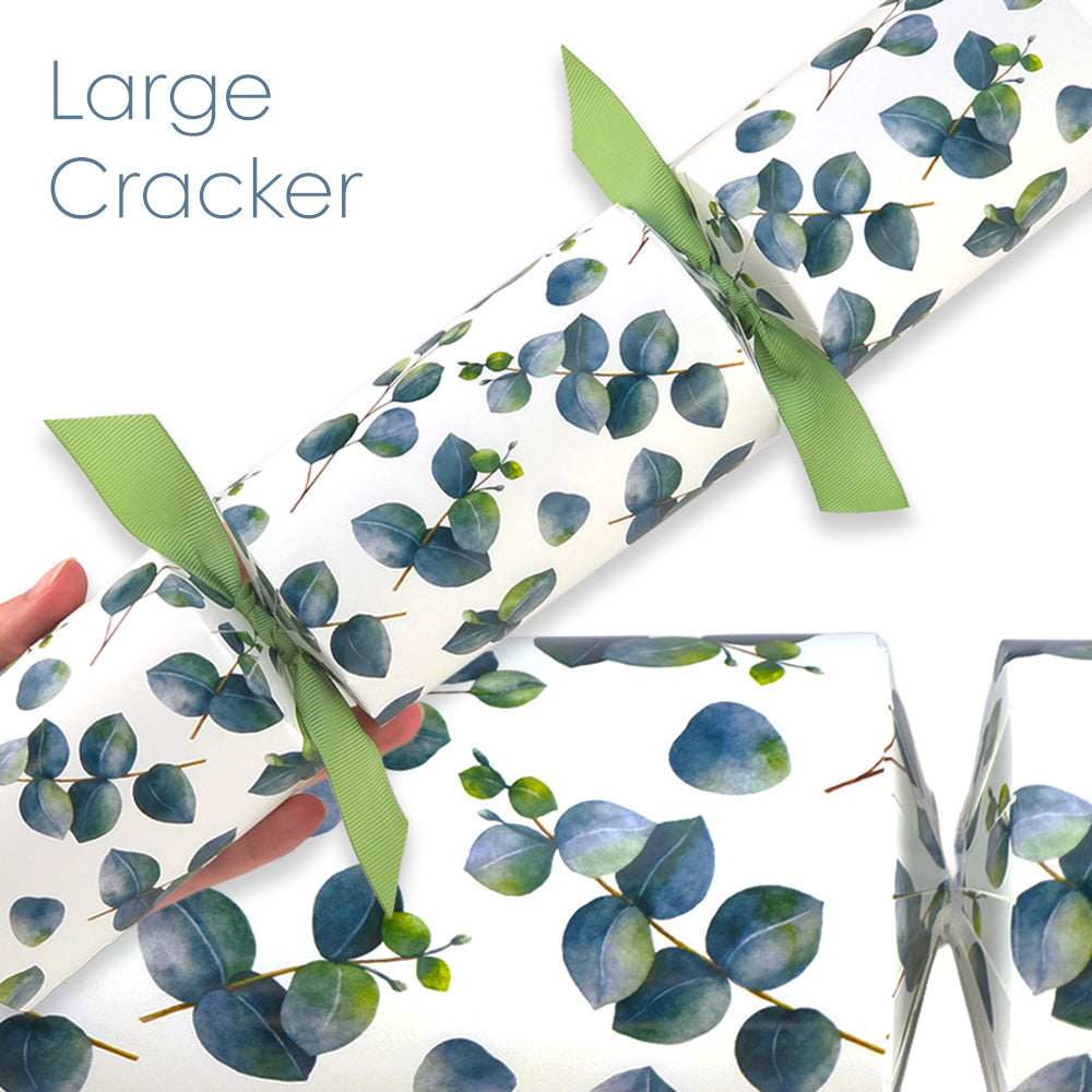 Reusable Keepsake Christmas Cracker Set | Watercolour Eucalyptus | DIY