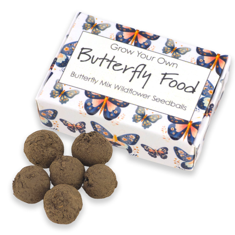 Grow Your Own Butterfly Food | 6 Seedball Matchbox | Cracker Filler | Mini Gift