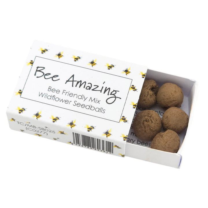 Bee Amazing | Seedball Matchbox | Bee Mix | Cracker Filler | Little Gift