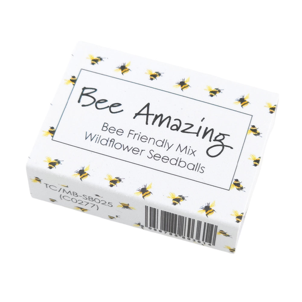 Bee Amazing | Seedball Matchbox | Bee Mix | Cracker Filler | Little Gift