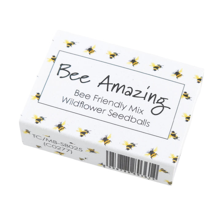 Bee Amazing | Seedball Matchbox | Bee Mix | Cracker Filler | Little Gift