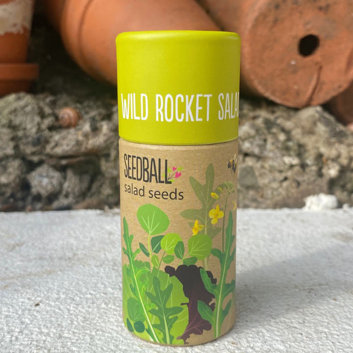 Wild Rocket | Luxury Tube of Seedballs | Cracker Filler | Little Gift