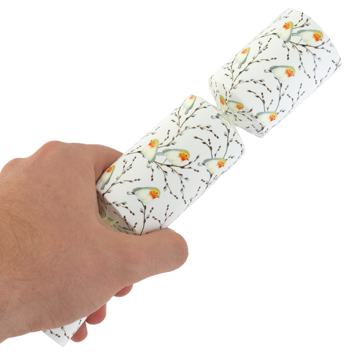 6 Small Willow &amp; Robin Christmas Favour Cracker Making Kit | Make and Fill Your Own