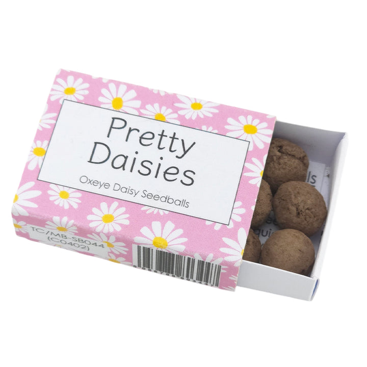 Pink Daisy Design | Seedball Box | Oxeye Daisies | Cracker Filler | Little Gift