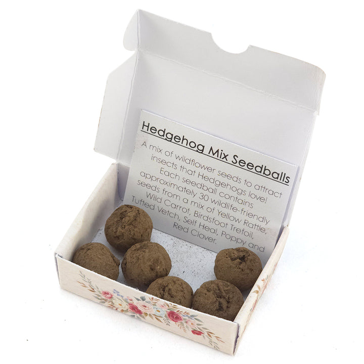 Love Birds | Hedgehog Friendly Seedball Box | Valentines Cracker Gift