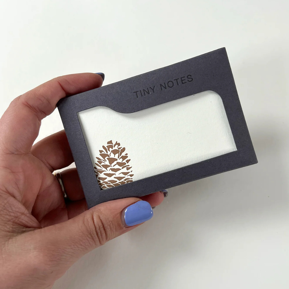 Festive Pine Cone | Set of 10 Tiny Notecards &amp; Envelopes | Little Gift
