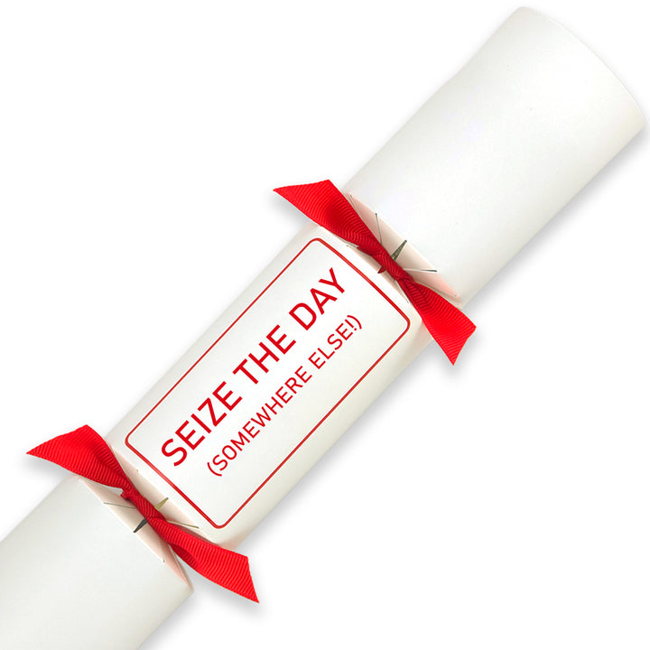 Seize the Day (Somewhere Else) | Single Cracker Making Craft Kit | Office Banter