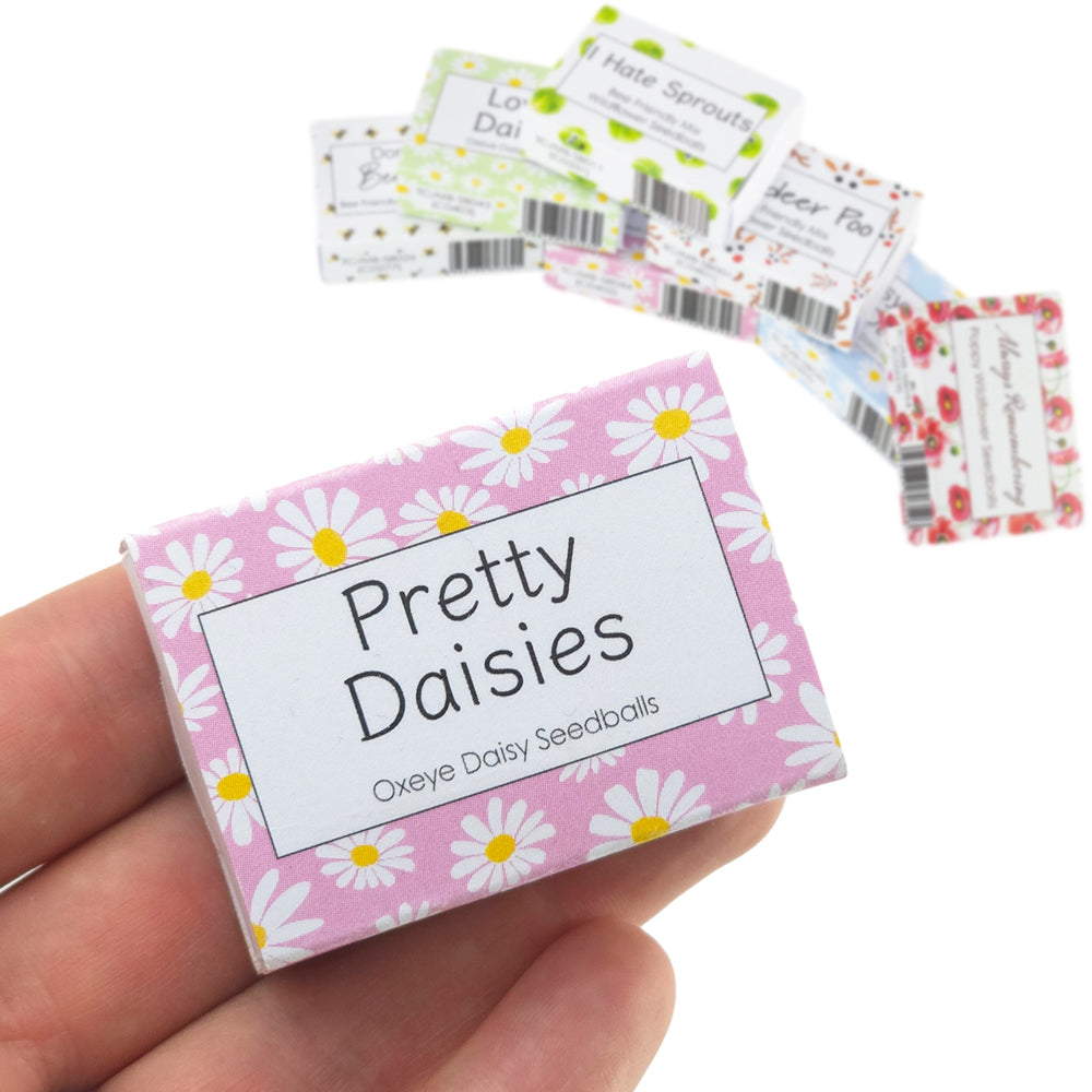 Pink Daisy Design | Seedball Box | Oxeye Daisies | Cracker Filler | Little Gift