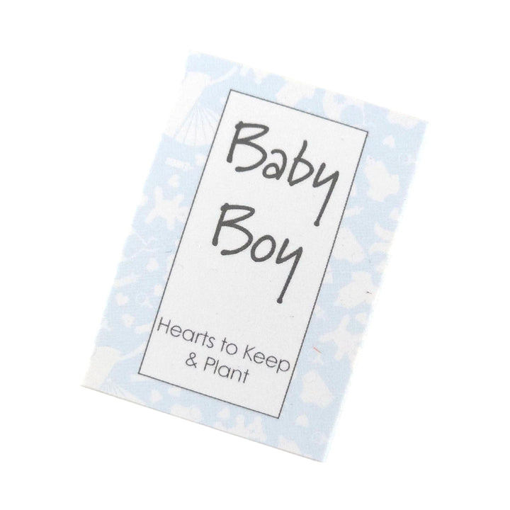 Baby Boy | Hearts to Keep and to Plant | Cracker Filler | Little Gift