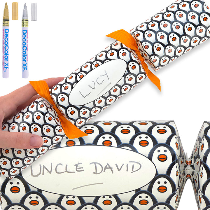 Personalise Your Own Crackers Craft Kit | Just Penguins | Minimum 4