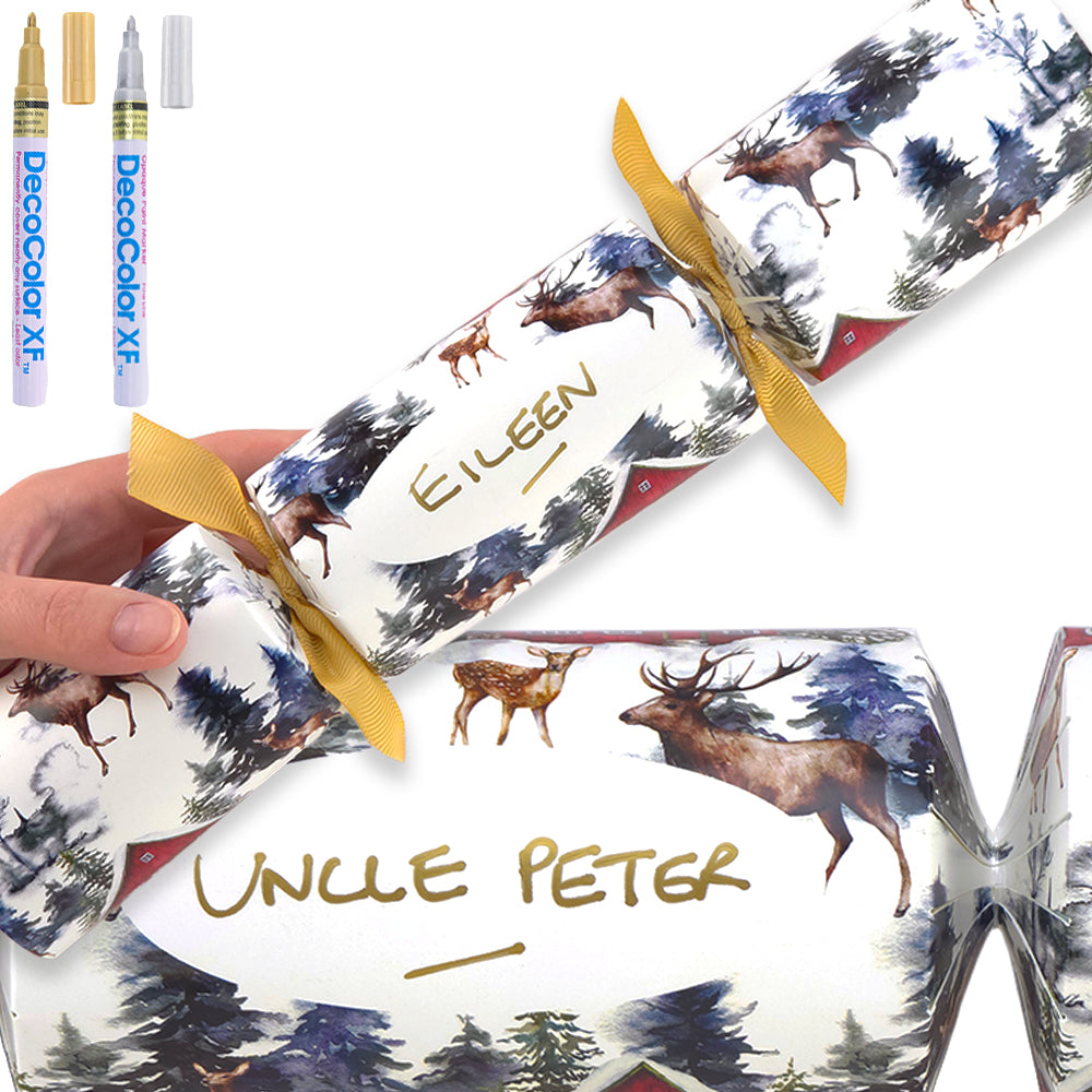 Personalise Your Own Crackers Craft Kit | Christmas in the Alps | Minimum 4