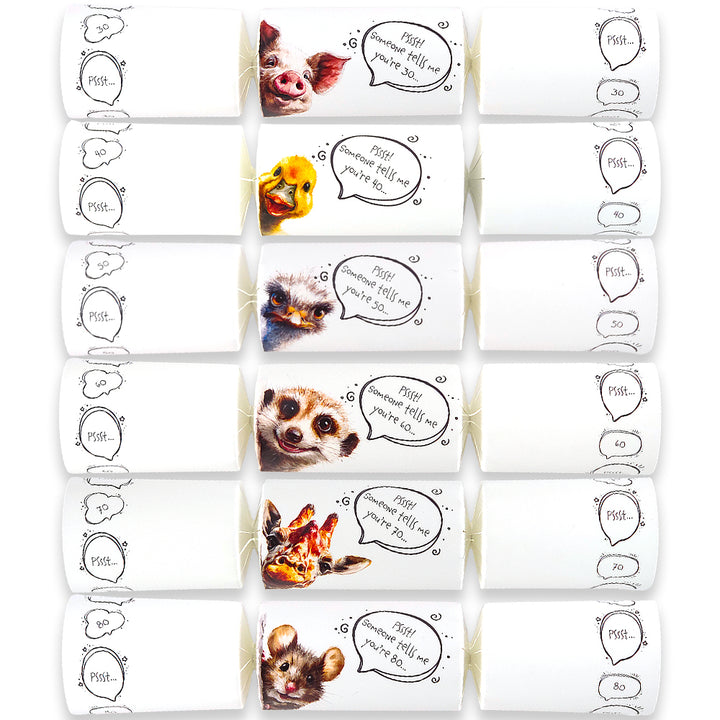 Cheeky Animal Milestone Birthday | Cracker Making Craft Kit | Make Your Own