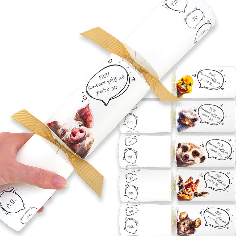 Cheeky Animal Milestone Birthday | Cracker Making Craft Kit | Make Your Own