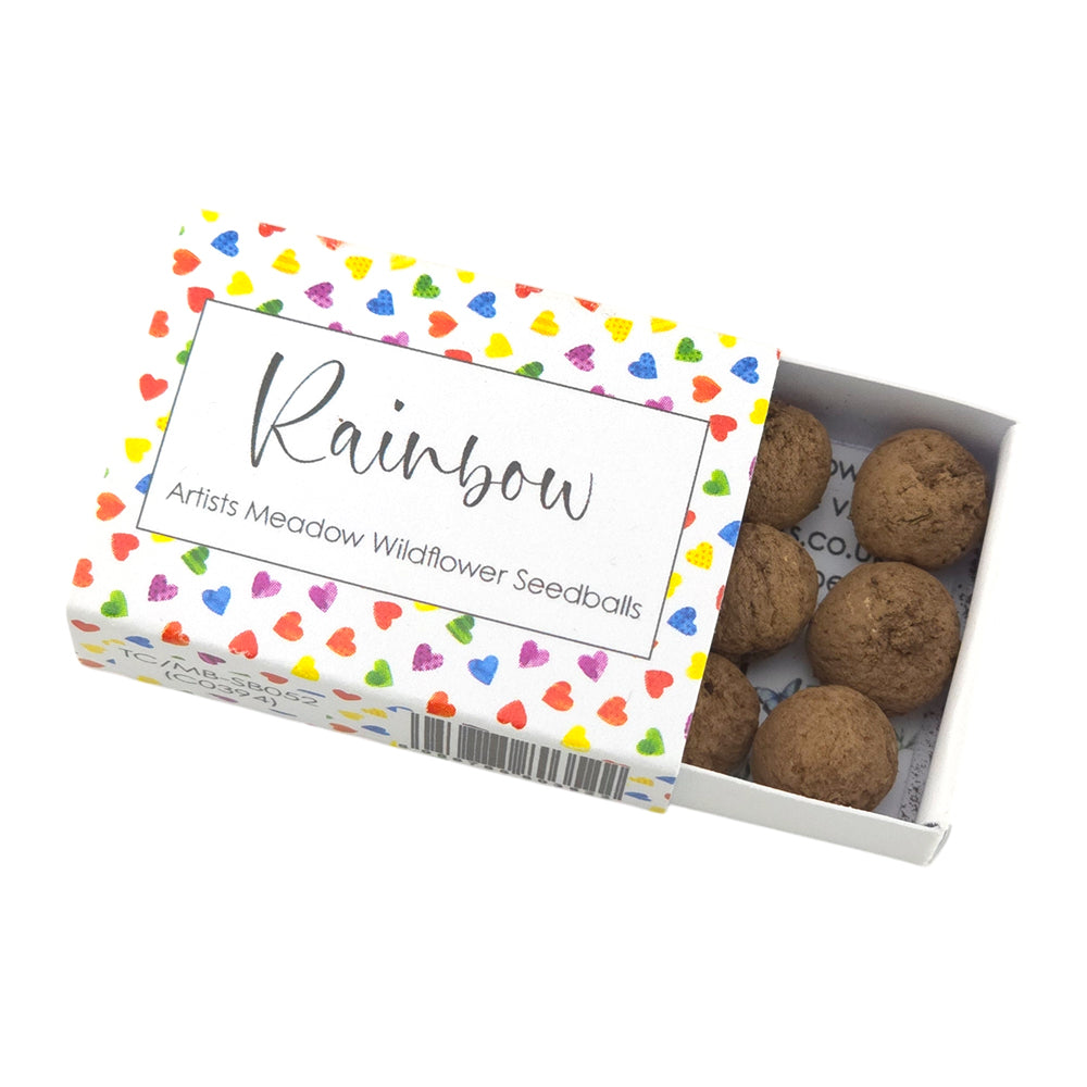 Rainbow | Artist Mix | Seedball Box | Cracker Filler | Little Gift