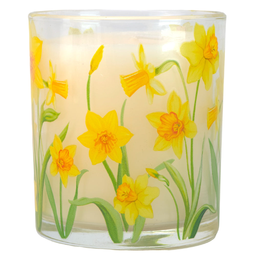 Spring Daffodils | Scented Candle Jar | 45 Hours Burn | 9cm Tall | Gisela Graham