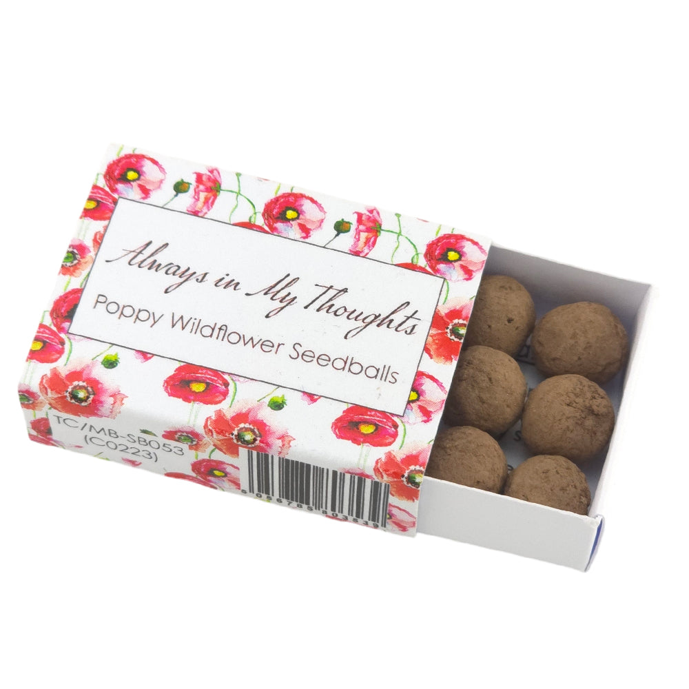 Always in My Thoughts | 6 Seedball Box | Poppies | Cracker Filler | Little Gift