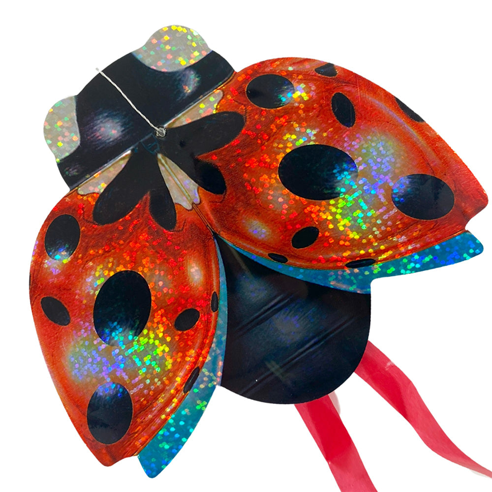 Ladybird | Insect Themed Little Kite | Party Bag Gift | Mini Gift