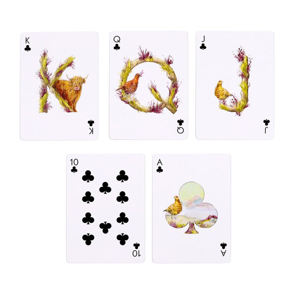 Highland Cow | Themed Standard Playing Cards | Little Gift
