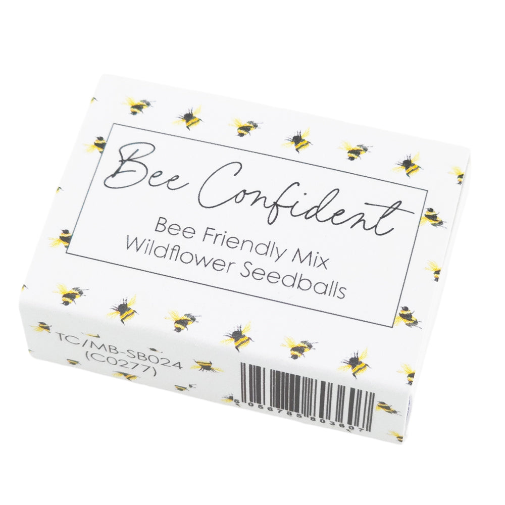Bee Confident | Seedball Matchbox | Bee Mix | Cracker Filler | Little Gift